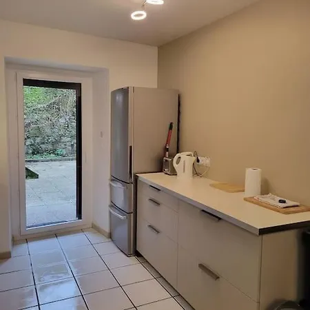 Dumur - Centre Apartment Évian-les-Bains